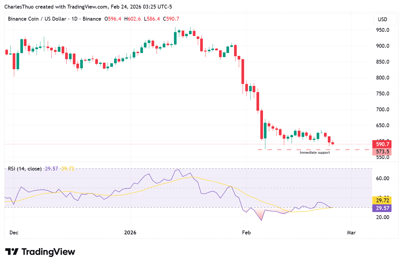 Binance coin price chart
