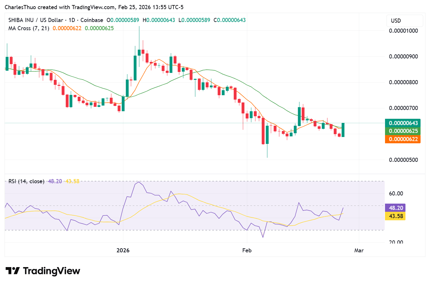 Shiba Inu price analysis